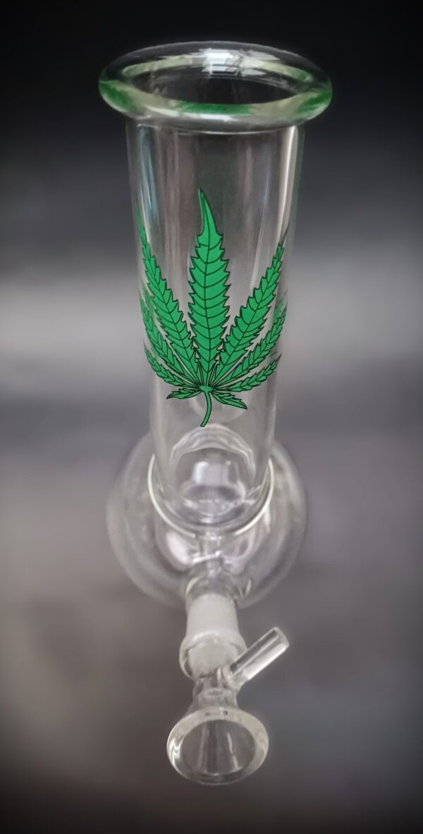 BONG HOJITA